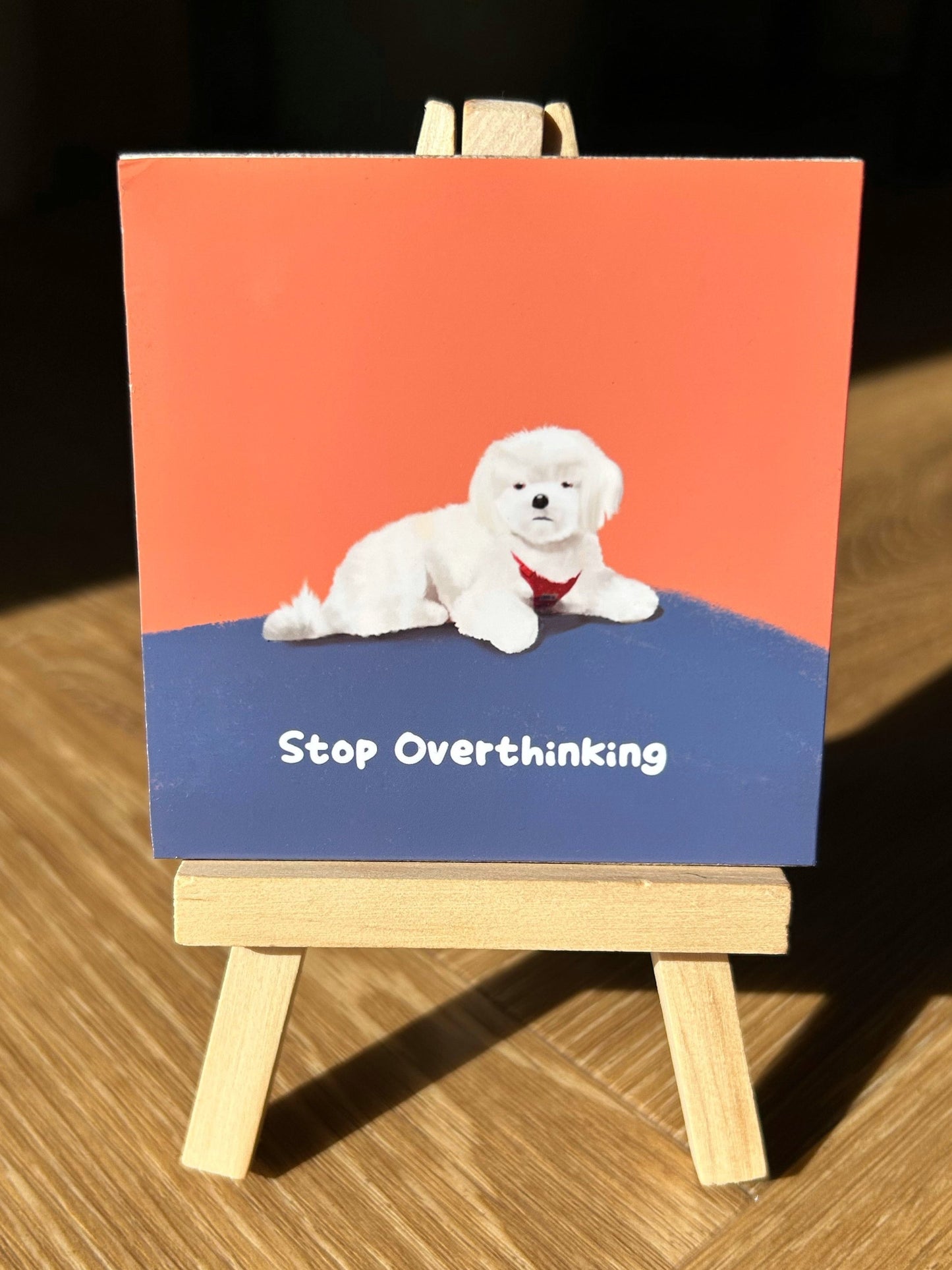 Stop Overthinking Pooch (Positive affirmation series)