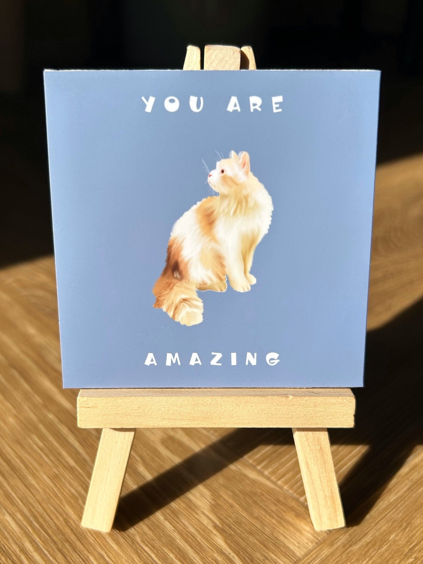 You Are Amazing Kitty (Positive affirmation series)