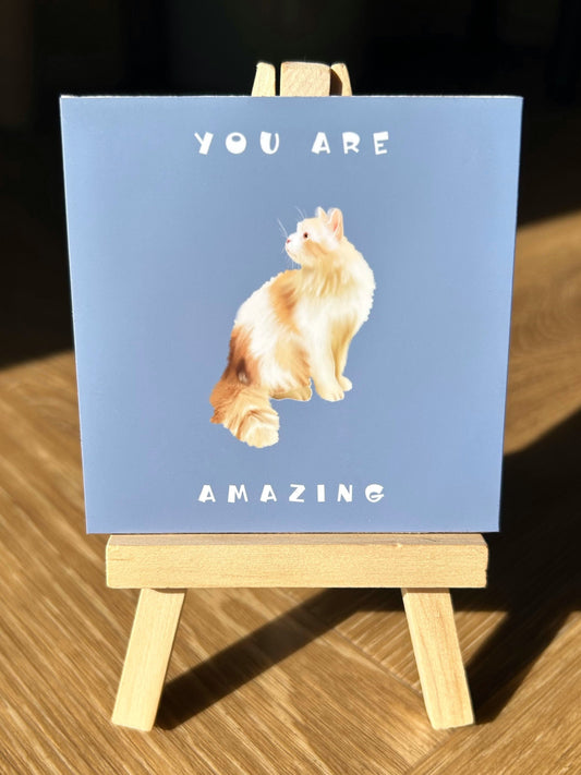 You Are Amazing Kitty (Positive affirmation series)