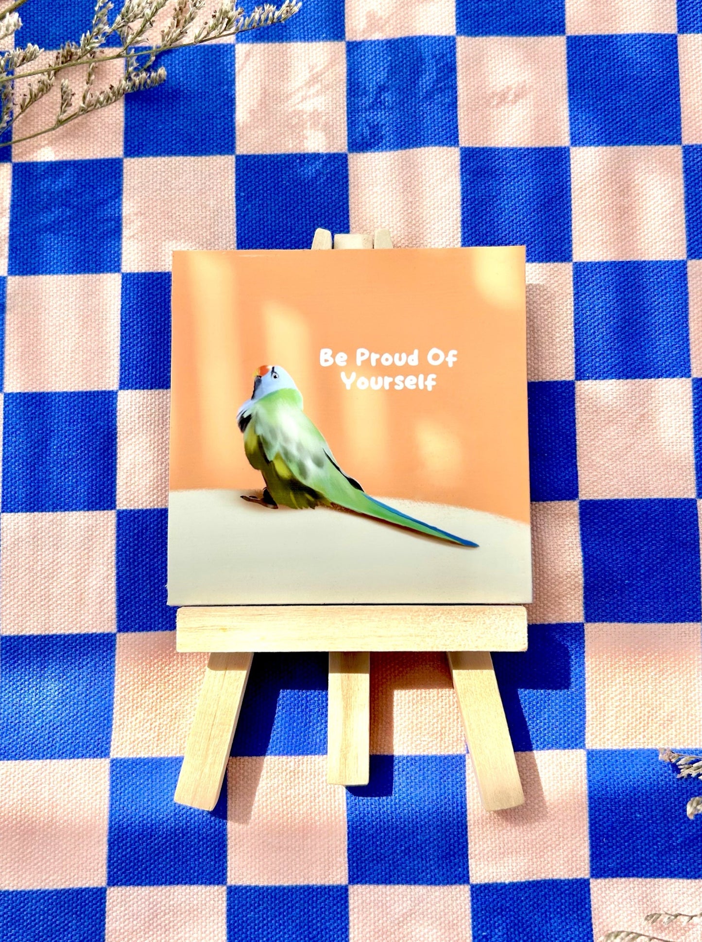 Parakeet - Be Proud Of Yourself (Positive affirmation series)