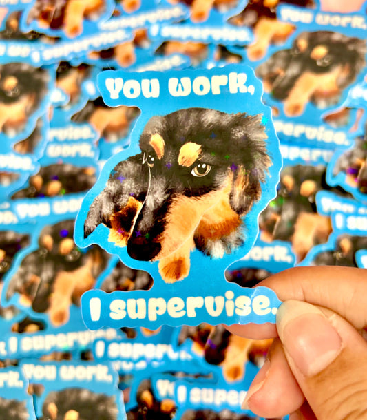 You Work, I Supervise Sparkly Vinyl Sticker